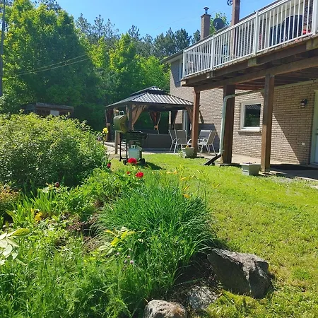 The Nest In The Forest Bed And Breakfast-2